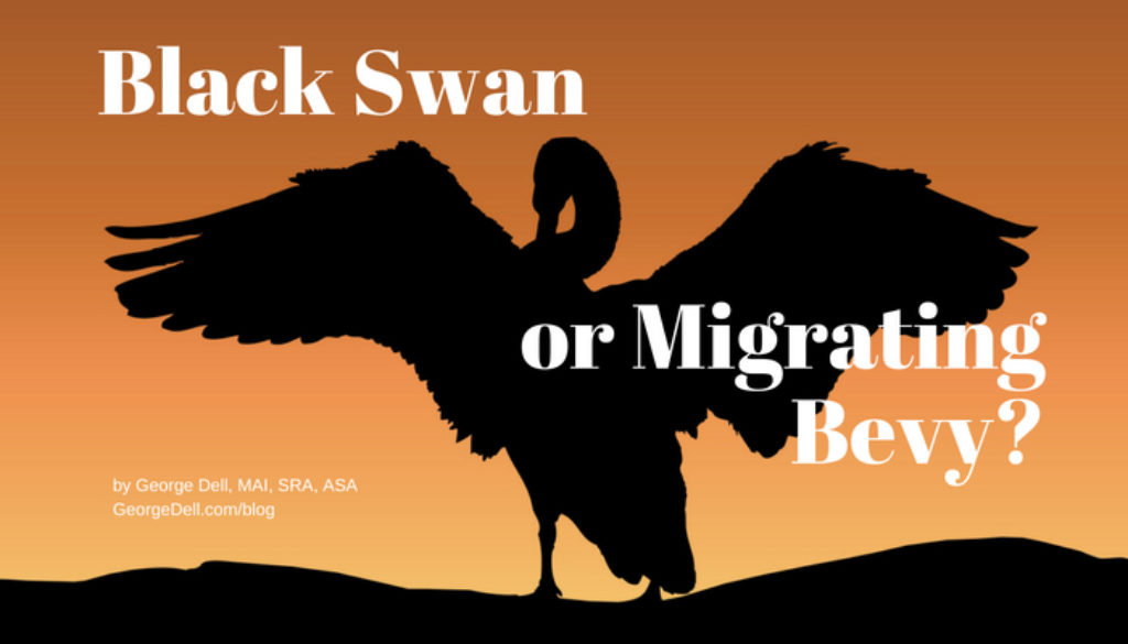 Black Swan adjusted