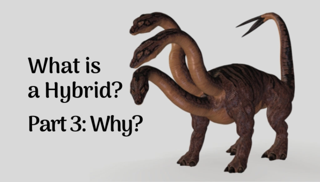 What is a hybrid? Part 3: Why? by George Dell, SRA, MAI, ASA, CRE