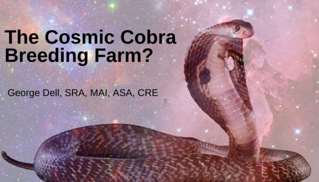 The Cosmic Cobra Breeding Farm_ lkn
