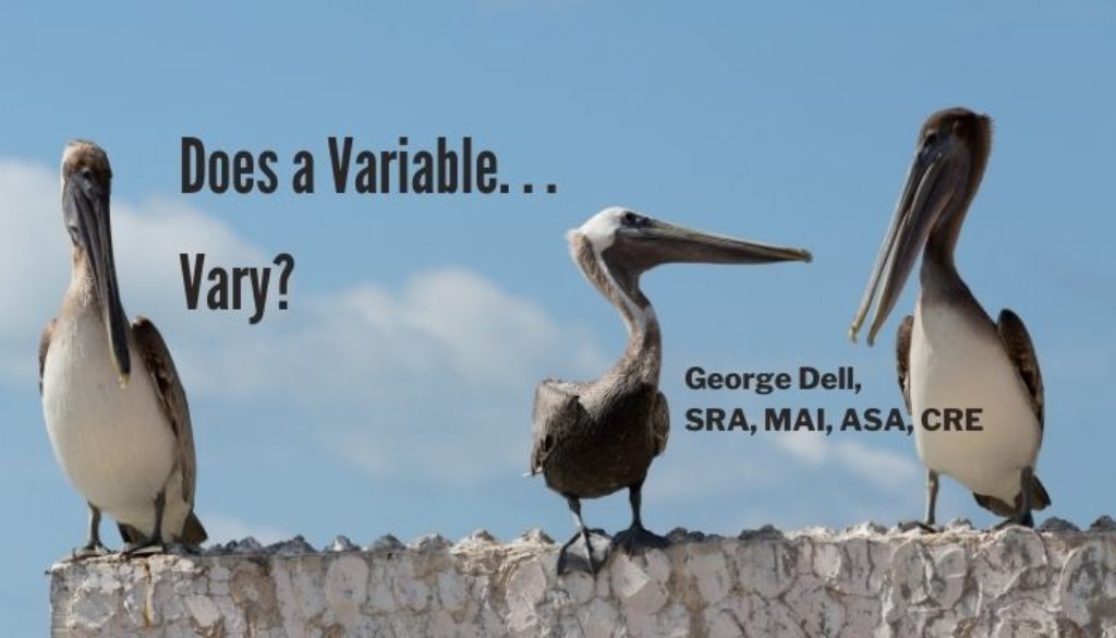 Three pelicans on a ledge with the words Do Variables Vary? by George Dell, SRA, MAI, ASA, CRE